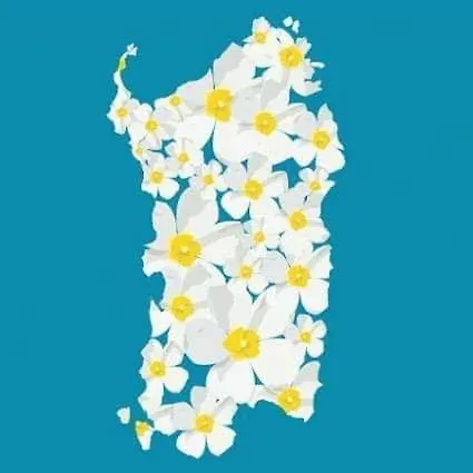 Vendégház Matilde Costa Rei