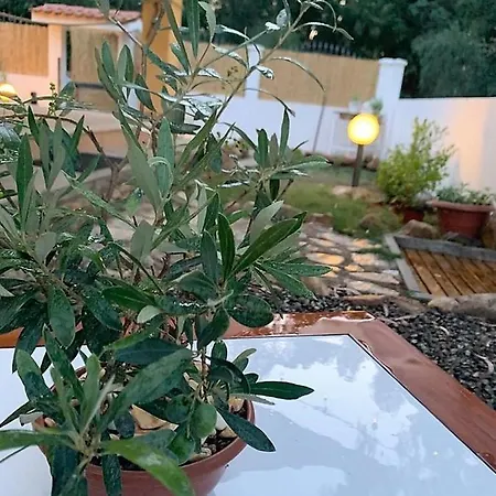 Matilde Costa Rei * קסטיאדס